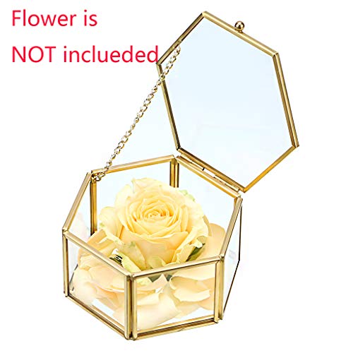 Hipiwe Preserved Flower Glass Box, Hexagon Glass Jewelry Decorative Bin, Ornate Trinket Display Organizer Case Keepsake Box Gift for Women