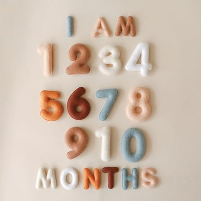 Baby Monthly Milestone Numbers – Signs & Photo Props – Soft Felt Letters & Numbers for Baby Announcement, Newborn Photography, Neutral - color: Neutral