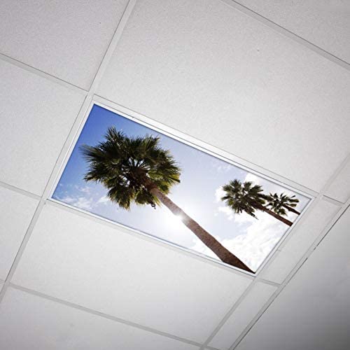 OCTO LIGHTS Fluorescent Light Covers for Classroom Office - Eliminate Harsh Glare Causing Eyestrain and Headaches. Office & Classroom Decorations - Tree 001 - color: Palm Tree, size: 1pk