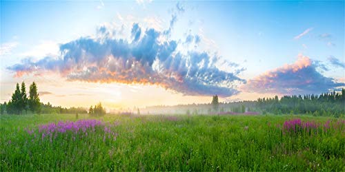 Yeele 8x4ft Vinyl Spring Summer Landscape Backdrop for Photography Rural Sunrise Field Meadow Wildflower Grass Background Banner Kids Children Photo Booth Shoot Studio Props