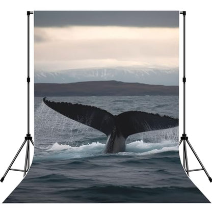 Humpback Whale Tail Ocean Backdrop Background for Photography 5x7ft Photobooth Professional Photo Backdrop Curtains Video Photography Studio Photo Backgrounds Banner Booth Background Screen Parties - color: Humpback Whale Tail Ocean
