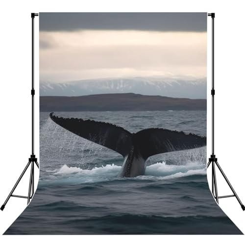 Humpback Whale Tail Ocean Backdrop Background for Photography 5x7ft Photobooth Professional Photo Backdrop Curtains Video Photography Studio Photo Backgrounds Banner Booth Background Screen Parties - color: Humpback Whale Tail Ocean