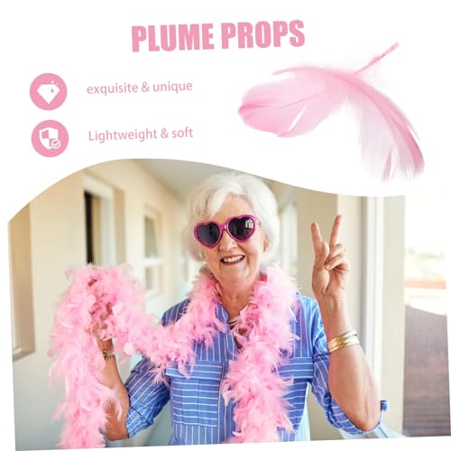 LALAFINA 15pcs Unique Plume Decorations Decorative Plume Props for Vanity Table Photo Displays for Home Decor Cosmetics Showcases