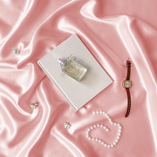 RUDONG M Satin Photography Backdrop 3.3x2.5ft - Wrinkle-Free Silky Fabric Background for Jewelry/Cosmetics/Flat Lay/Studio, Pink Backdrop Cloth (100x75cm) - color: Pink
