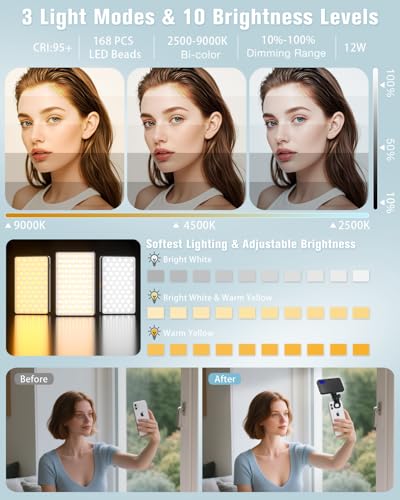 168 LED Phone Light, Selfie Light for iPhone/iPad/Camera, Portable Video Conference Lighting with Clip, Rechargeable 3000mAh CRI 95+, 3 Lights Modes Alix Earle Lights for Selfie, Makeup, Laptops, Vlog - color: A1-Black