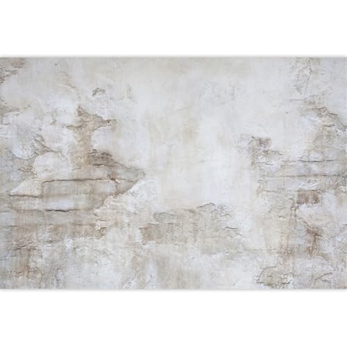 Laeacco Rustic Rock Wall Backdrop 10x6.5ft Shabby Lime Wall Photography Backdrop Grunge Brick Wall Realistic Wall Photo Studio Rough Stone Wall Child Adults Baby Photo Portraits Video Props - size: 10x6.5ft
