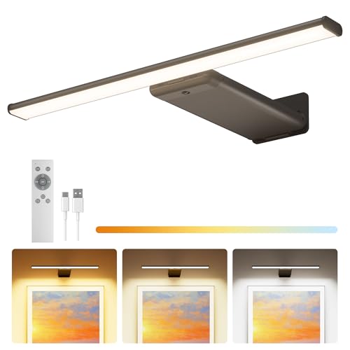 Picture Light for Wall Rechargeable Art Light with Remote, 3 Colors & 5 Brightness Levels, 12000mAh Battery Operated Lights for Pictures, Gallery, Bedroom, Hallway, Frame, Living Room (Black,1 Pack) - color: Black, size: 1 Pack