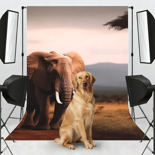 Walking Elephant Backdrop Background for Photography 5x7ft Photobooth Professional Photo Backdrop Curtains Video Photography Studio Photo Backgrounds Banner Booth Background Screen Parties - color: Walking Elephant