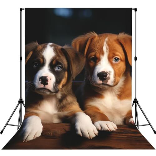 Puppies Dogs Pets Animals Backdrop Background for Photography 5x7ft Photobooth Professional Photo Backdrop Curtains Video Photography Studio Photo Backgrounds Banner Booth Background Screen Parties - color: Puppies Dogs Pets Animals