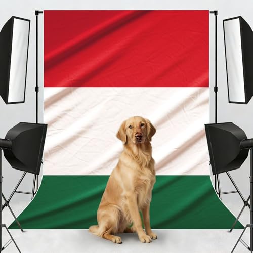 Italy Flag Backdrop Background for Photography 5x7ft Photobooth Professional Photo Backdrop Curtains Video Photography Studio Photo Backgrounds Banner Booth Background Screen Parties - color: Italy Flag