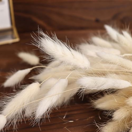 Efavormart 50 Pack 15 inch Natural White Rabbit Tail Dried Pampas Grass, Soft White Bunny Tail Grass Stems for Airy Modern Decor and Bridal Shower Centerpieces - color: White, size: 15"