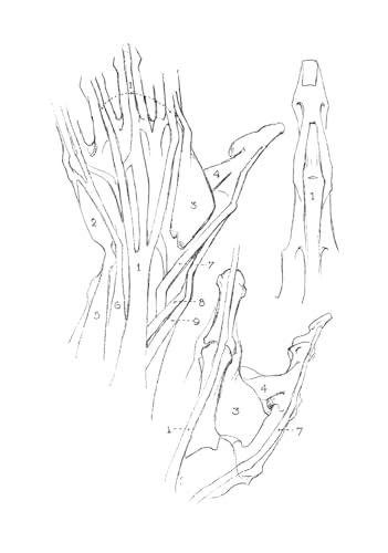 The Book of a Hundred Hands (Dover Anatomy for Artists)