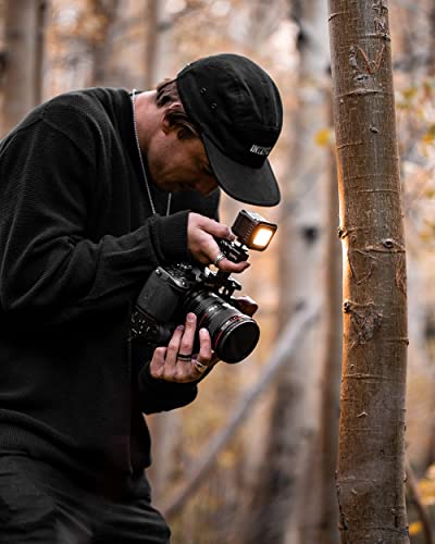 Lume Cube 2.0 Professional Lighting Kit | 20-Piece LED Lighting Kit with Diffusion and Gels | Adjustable Brightness, Bluetooth Control, Waterproof, Indoor Studio & Outdoor Use, for Photo and Video - size: 20 Pack Kit