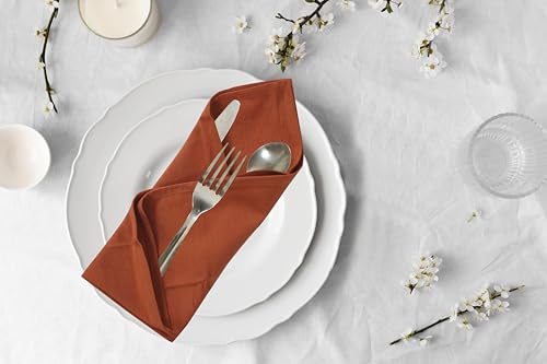 Accent Home 100% Cotton Napkins, Delicate Cloth Napkins for Dinners, Parties and Weddings，18 x 18 Inch Set of 12 - Rust - color: 03 - Rust - Twill, size: 18"x18" - Pack of 12