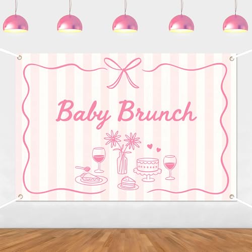Baby Brunch Baby Shower Backdrop Pink Brunch Party Decorations Breakfast Backdrop Gingham for Baby Shower Party Decors Supplies Photo Booth Props 5 * 3ft - color: pink