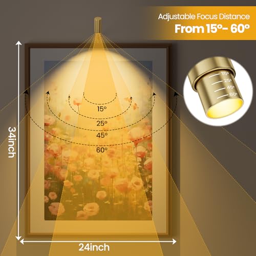 Zoomable Picture Light Spotlight,Plug in LED Picture Lights for Wall 3000K Warm Photo Frame Light with Remote Control Art Lighting for Paintings Gold Mini Accent Spotlights for Gallery