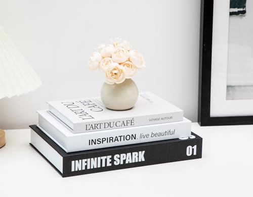 TwoDays Stockholm Style Decorative Books - Fake Faux Books for Chic Trendy Home Decor, Modern Room Decor Aesthetic, Luxury Stacked Storage for Bedroom Apartment Dorm (Set of 3) - color: Stockholm