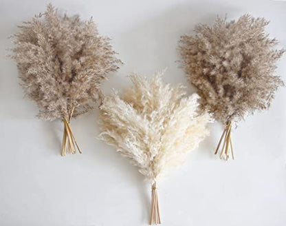 30 PCS Boho Decor, Fluffy Pompas Grass, Natural Dry Pampas Grass Small, Short Pampass Bulk for Boho Room, Coffee Table Decor (17 inch ) - size: 30PCS-Natural