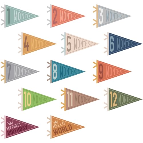 VitalCozy 14 Pcs Baby Milestone Pennant Signs Monthly Milestone Banner Flags Pennant Triangle Banner Age Flag Signs for Boy Girl Newborn Birthday Party Decor(Classical Color) - color: Classical Color