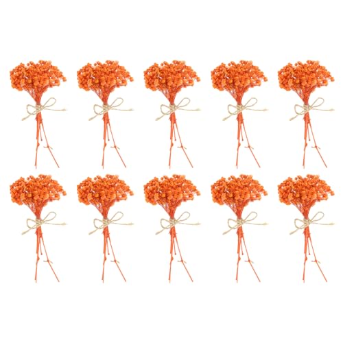 PATIKIL Mini Dried Flower Bouquet, 10 Pcs Baby's Breath Natural Wildflower with Stem Decor Boho Floral Plant Flower for Crafts DIY Photo Props Gift Wedding Decor, Orange - color: Orange