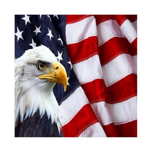 8x8ft American Flag Bald Eagle Backdrop Stars and Stripes US Flag Background for Memorial Day, 4th of July, Independence Day, Labor Day, Veterans, Patriotic Party, Retirement Party Decors - color: Flag02, size: 8x8ft