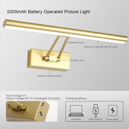 Picture Light,13.5" Art Light, Picture Light Battery Operated,3CCT Picture Frame Light,Wireless Picture Lights for Painting,Wall Display, Photo,Library Gold-Painted - color: Painting Gold, size: 13.5inches