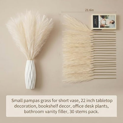 30PCS Artificial Pampas Grass Decor, 21.7" Small Faux Pampas Grass No Shedding Allergy Free, Fluffy Boho Silk Flowers for Vase Filler, Home Living Room Wedding Table Centerpieces, Beige - size: Begie