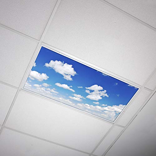 OCTO LIGHTS Fluorescent Light Covers Cloud Sky Panel for Ceiling Lights, Light Covers for Ceiling Lights Classroom 2x4 (22.38"x46.5") Backlit Film Insert for Fluorescent Light Fixtures (Pack of 1) - color: Breathtaking Stratus, size: 1pk