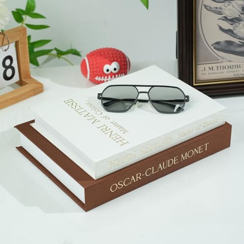 2 Pack Decorative Books Storage Boxes,Vintage Faux Books for Coffee Table,Bookshelf & Home Decor,Aesthetic Mini Book Set for Shelf Display & Keepsake Storage,Brown - color: Brown