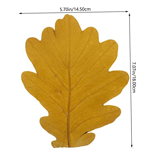 20pcs Sushi Tray Leaf Decor Natural Baking Leaves for Seafood Display Sashimi and Sushi Serving Plates Elegant Japanese Cuisine Presentation for Food Photography