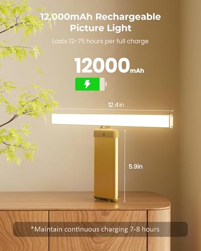 Picture Light for Wall with Remote, Picture Lights Battery Operated Rechargeable 12000mAh, 3 Colors & 3 Timers, Brightness Dimmable for Gallery Poster Frame Painting Photo Art Display (Gold, 1 Pack) - color: Gold, size: 1 Pack