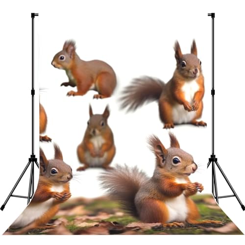 Cute Squirrels Backdrop Background for Photography 5x7ft Photobooth Professional Photo Backdrop Curtains Video Photography Studio Photo Backgrounds Banner Booth Background Screen Parties - color: Cute Squirrels