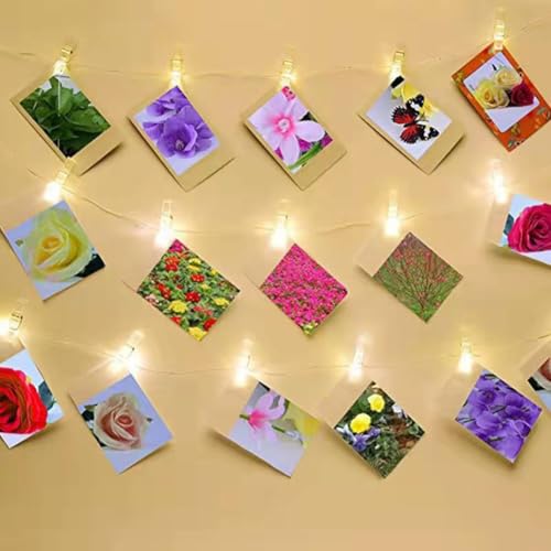 50pcs Clear Small Clips, Binder Photo Clips Mini Hanging Spring Clip Transparent Plastic Clip for Hanging Clothes Photos Picture(Transparent)