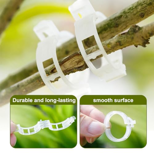 Secured Plastic Plant Clip, 2024 Upgraded Plant Support Clips Reusable Garden Clips 50Pcs, Plant Support Clips Garden Climbing Vines Fixing Clip Trellis Clips Climbing Tomato Clips (50, White) - color: White