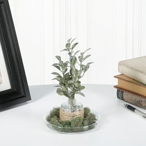 Plymor 4.5" x 4.5" Round Glass Display Tray, Pack of 2 - size: 4.5" x 4.5"