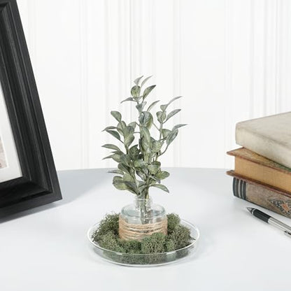 Plymor 4.5" x 4.5" Round Glass Display Tray, Pack of 2 - size: 4.5" x 4.5"