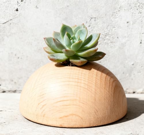 Natural Half Wooden Balls, Unfinished Beech Wood Hemisphere, Semicircle Smooth Wood Spheres for Crafts, DIY Projects and Home Decor, No Hole(Size:1.5cm（25pcs）) - size: 1.5cm（25pcs）