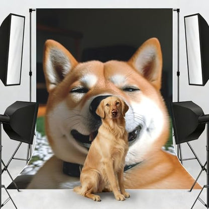 Shiba Inu Smile Tongue Out Backdrop Background for Photography 5x7ft Photobooth Professional Photo Backdrop Curtains Video Photography Studio Photo Backgrounds Banner Booth Background Screen Parties - color: Shiba Inu Smile Tongue Out