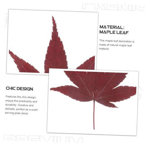 Cabilock 30pcs Natural Maple Leaf Food Decor for Sushi and Sashimi Plating Vacuum Preserved Japanese Style Garnish for Elegant Food Presentation and Photography