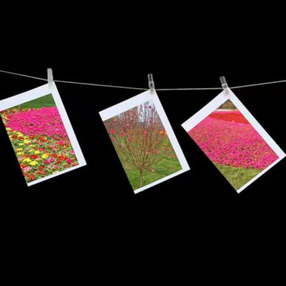 50pcs Clear Small Clips, Binder Photo Clips Mini Hanging Spring Clip Transparent Plastic Clip for Hanging Clothes Photos Picture(Transparent)