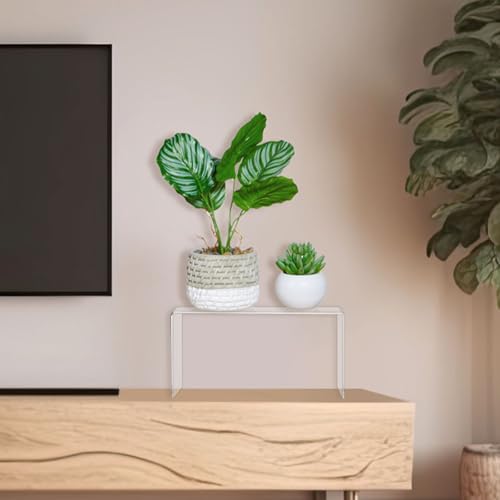 RattanView 2 Pcs 13 Inch Large Acrylic Risers Display Stands 5 mm Thick Acrylic Shelf Riser Showcase for Collectibles Jewelry Cupcakes Food Figures Perfume Cabinet(Clear) - color: Clear, size: 13 Inch, 5 mm
