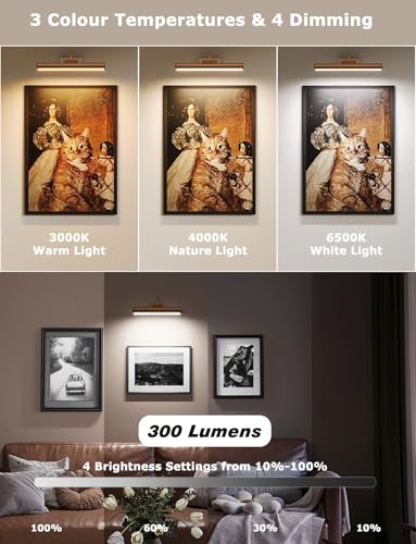 Picture Light Battery Operated, 13in Wireless Art Light for Paintings, Dimmable 5000mAh Recharging Battery Picture Light with Remote Control for Wall, Gallery Dartboard (Orange Copper -2Pack) - color: Orange Copper, size: 2Pack-13in