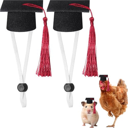 Eccliy 2 Pcs Pet Graduation Caps Mini Bachelor Hats with Tassel for Small Animal Guinea Pigs Hedgehog Bird Turtles Hamster Photo Props Graduation Holiday Festival Party Accessory(Red) - color: Red