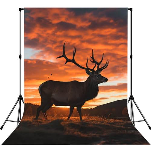 Red Deer Bull Elk Sunset Backdrop Background for Photography 5x7ft Photobooth Professional Photo Backdrop Curtains Video Photography Studio Photo Backgrounds Banner Booth Background Screen Parties - color: Red Deer Bull Elk Sunset