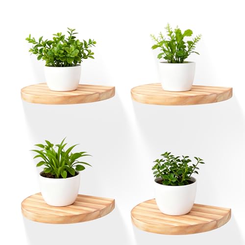 Small Wood Floating Shelves (4-Pack, 6-inch Diameter) - Round Sturdy Invisible Wall Mount Display for Small Plants,Toys,Bathroom,Living Room Storage & Modern Rustic Décor (Carbonized Brown) - color: Carbonized Brown, size: 6 Inch-4 Pcs