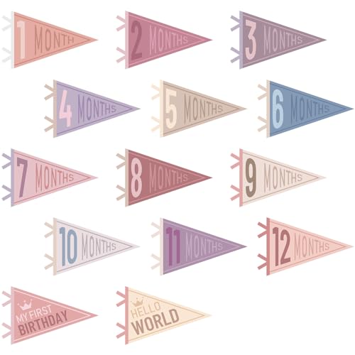 VitalCozy 14 Pcs Baby Milestone Pennant Signs Monthly Milestone Banner Flags Pennant Triangle Banner Age Flag Signs for Boy Girl Newborn Birthday Party Decor(Pastel Color) - color: Pastel Color