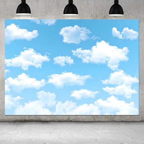 Qian 7x5ft Blue Sky White Clouds Backdrop Natural Scenery Sunshine Sky Clouds Photography Backdrop Wedding Birthday Party Decoration Newborn Baby Shower Backdrop