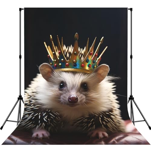 Crown with Hedgehog Backdrop Background for Photography 5x7ft Photobooth Professional Photo Backdrop Curtains Video Photography Studio Photo Backgrounds Banner Booth Background Screen Parties - color: Crown With Hedgehog