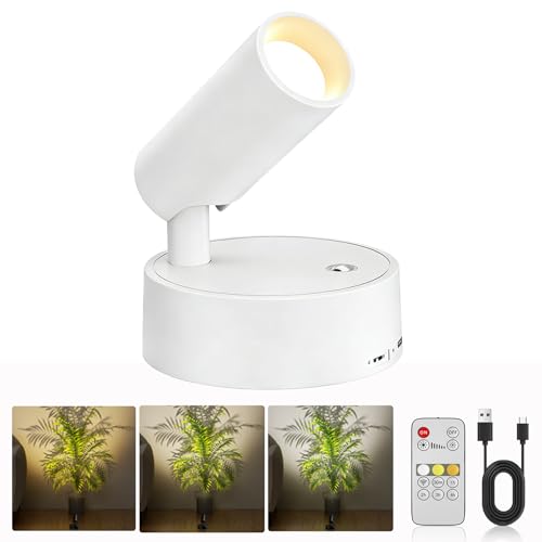 Spotlight Indoor with Remote 5500mAh Rechargeable, Battery Plant Uplight Indoor with Timer, 3CCT Dimmable Picture Light Display Lights Magnetic Mounting for Tree, Artwork, Accent Lighting - color: 1 x White