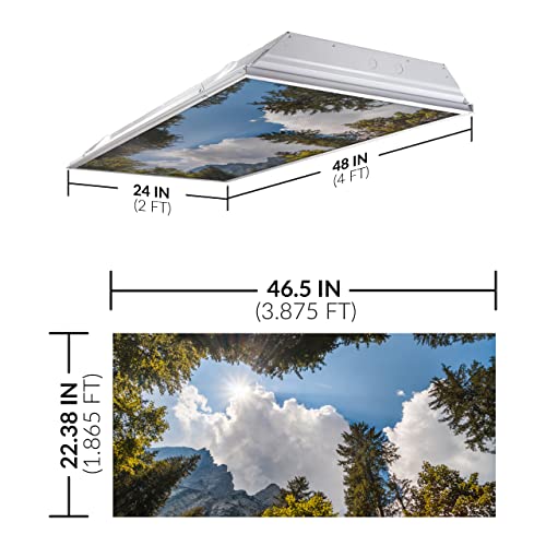 OCTO LIGHTS Tree Fluorescent Light Covers 2x4 Fixtures (22.38" x 46.5") Ceiling Light Cover for Classroom and Office, Decorative Light Covers for Ceiling Lights, Office Light Covers - (Pack of 10) - color: Tree Mountain Sky, size: 10pk